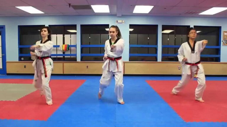 Taekwondo Basic Form 1 – Extreme Judo Weekly